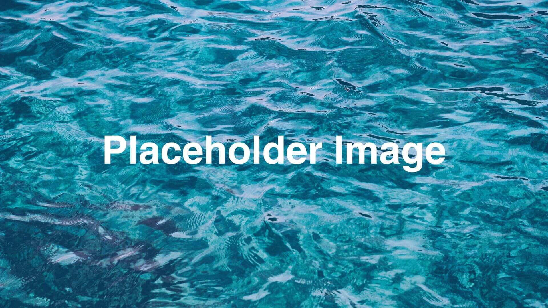 Placeholder Image Placeholder Image