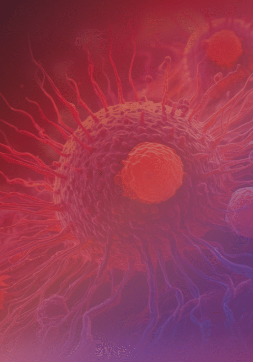 Car-TCR Europe Background Image